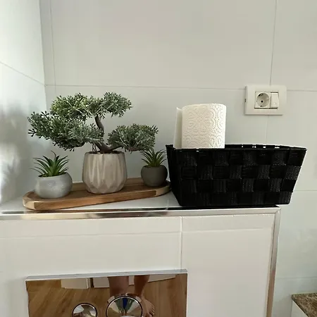 Honolulu-endless Summer Apartmán Năvodari